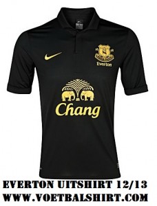 Everton uitshirt 2013