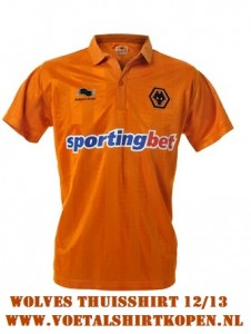 Wolves shirt 2013