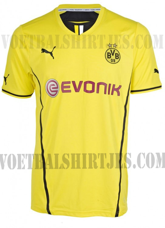 BVB trikot 2013 2014