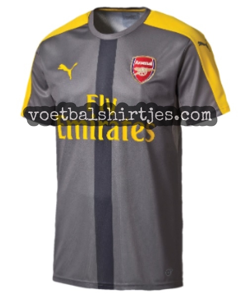 arsenal puma yellow training