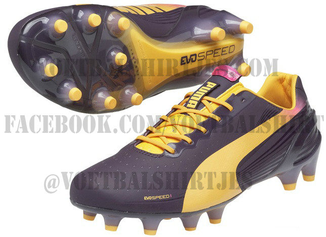 Puma soccer cleats evospeed 2013