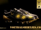 Bessi gouden bal voetbalschoenen 2013