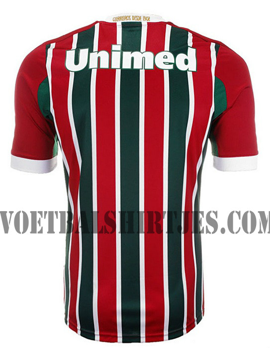 fluminese thuisshirt 2013-2014 achterkant_