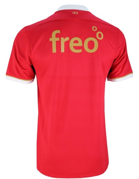 PSV shirt 2014 