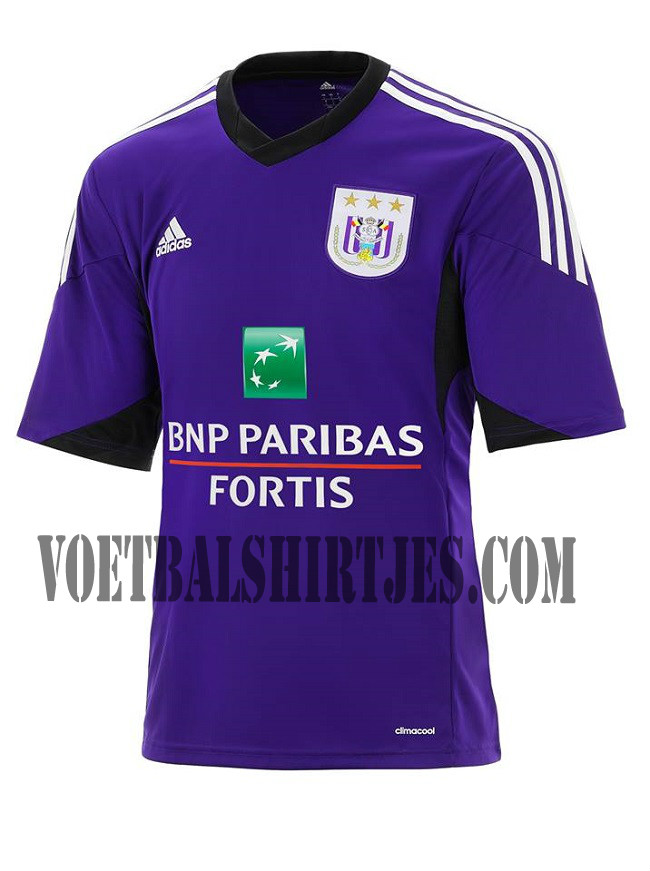 Anderlecht truitje 2013/2014