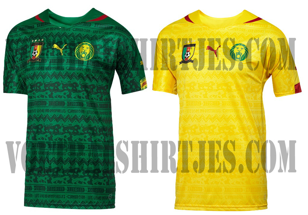 Kameroen voetbalshirts 2014/2015