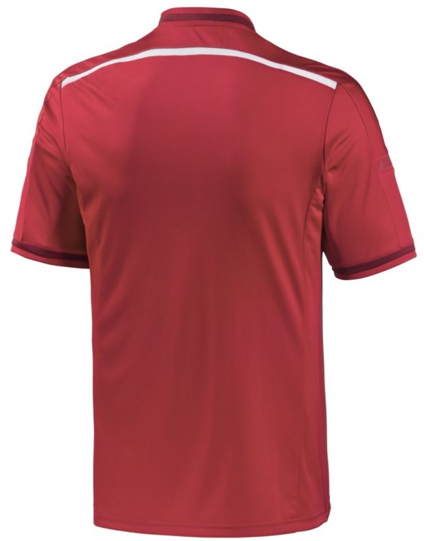 Denemarken thuisshirt 2014 2015 achterkant