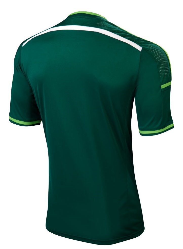 Noord-Ierland thuisshirt 2014 2015 achterkant