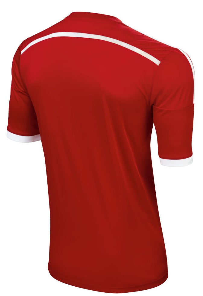 wales thuisshirt 2014 2015 achterkant