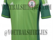 Nigeria home shirt 2014 2015