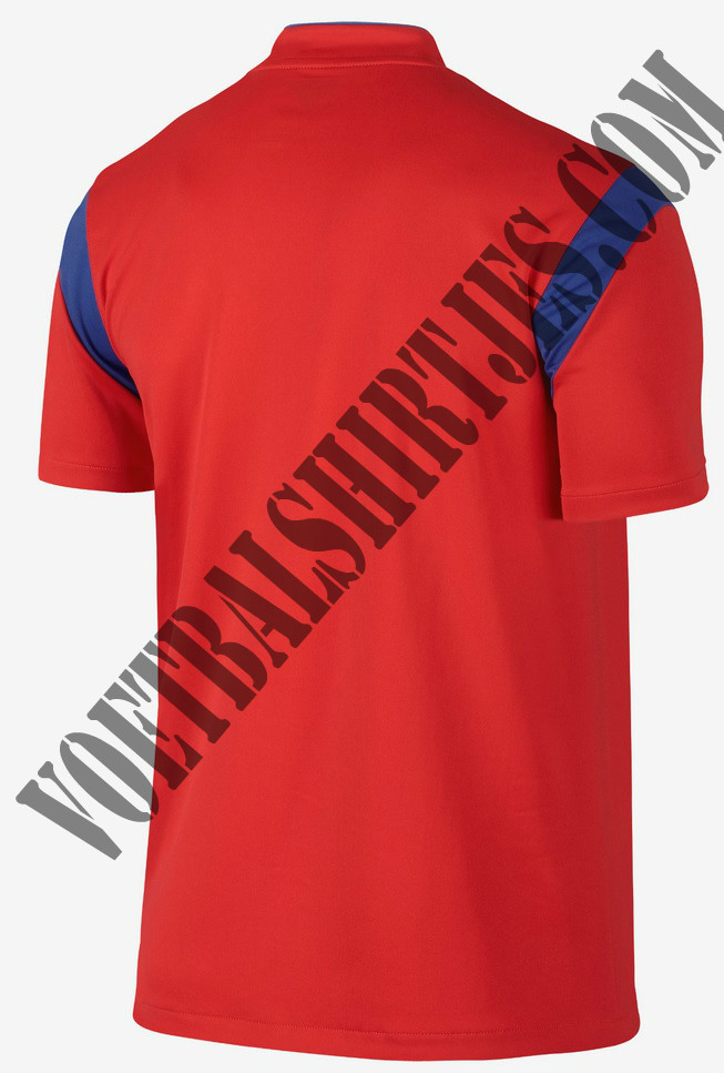 zuid korea thuisshirt 2014 2015_achterkant