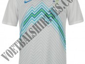 Slovenia home kit 2014