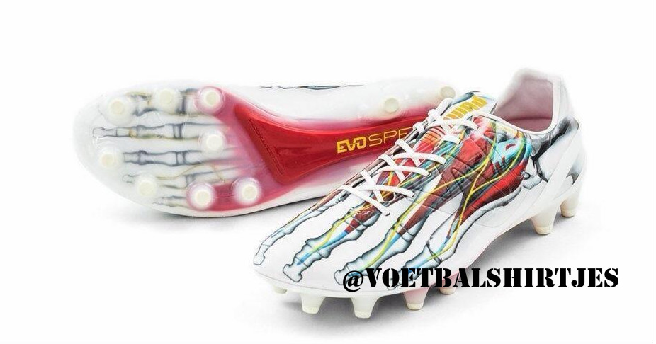 Puma Evospeed Anatomy