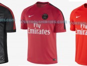 Paris Saint Germain training tops 14/15
