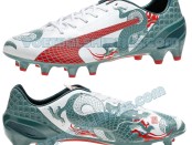 Puma evospeed dragon boots