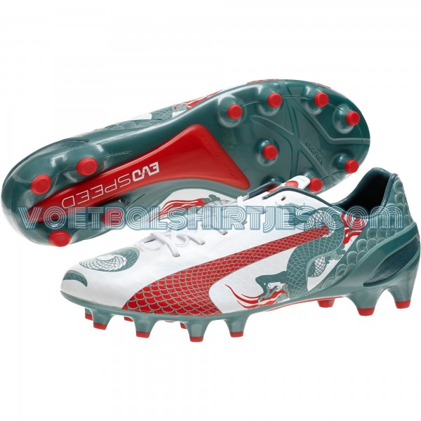 puma evospeed dragon boots