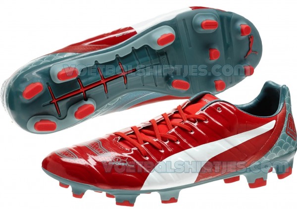 Puma evoPOWER 1.2 FG Graphic 