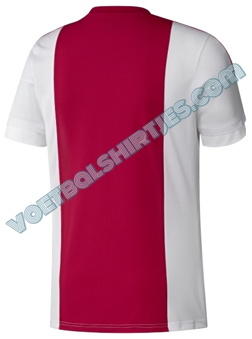 ajax thuisshirt 15/16