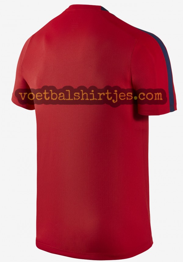 psg trainingsshirt 2016