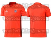 FC Bayern Munchen training jersey 16-17