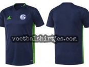 schalke 04 trainingsshirt 2016 2017