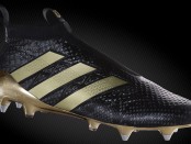 Pogba Adidas Ace 16+ pure control