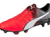 Puma evoPOWER 1.3 Leather FG