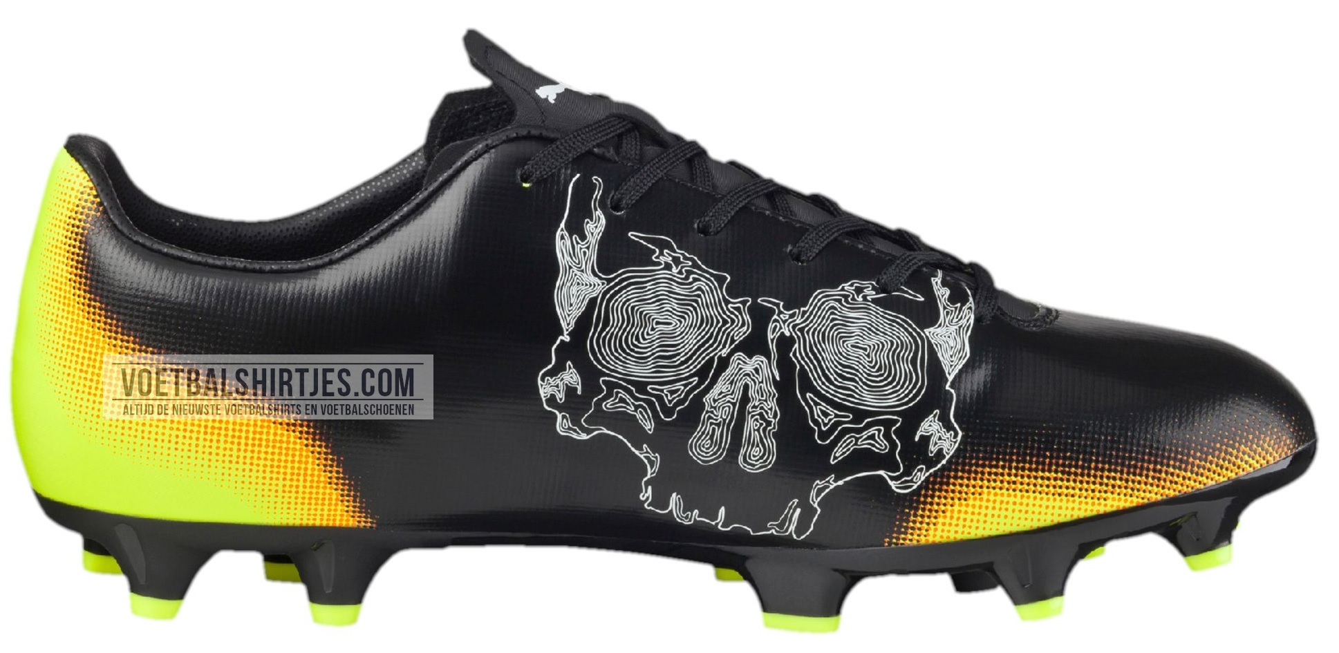 Puma evoSPEED Graphic 2016