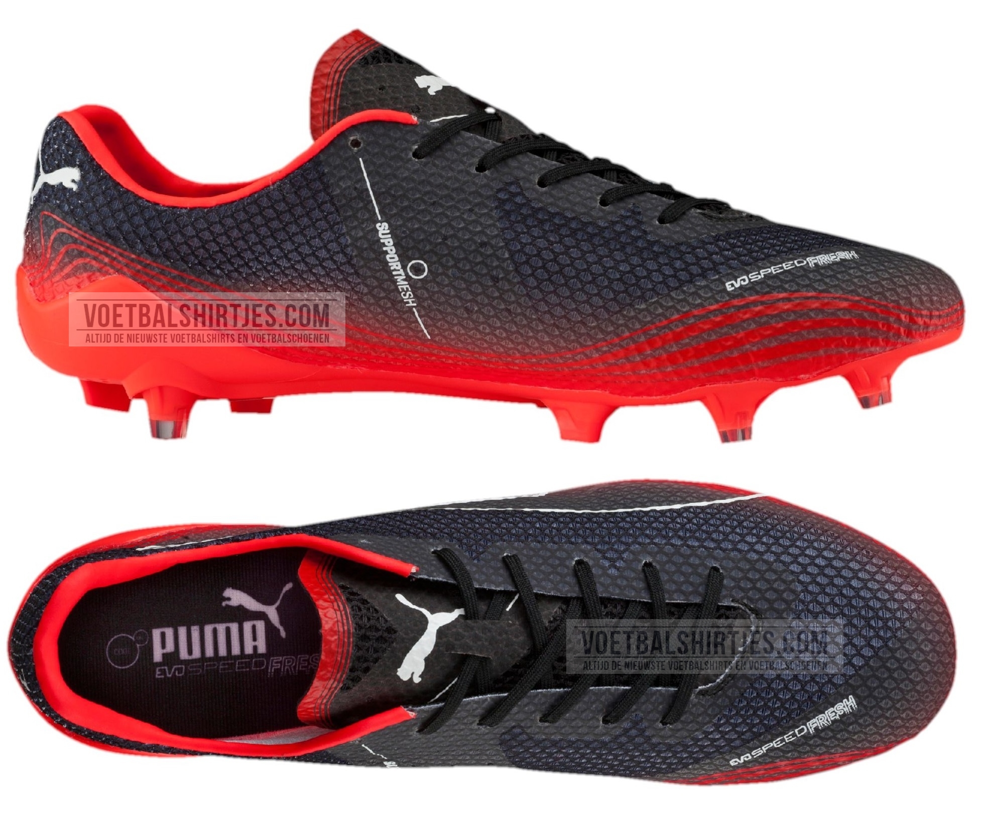 puma_evospeed_fresh