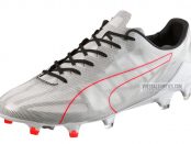 Puma evospeed HE