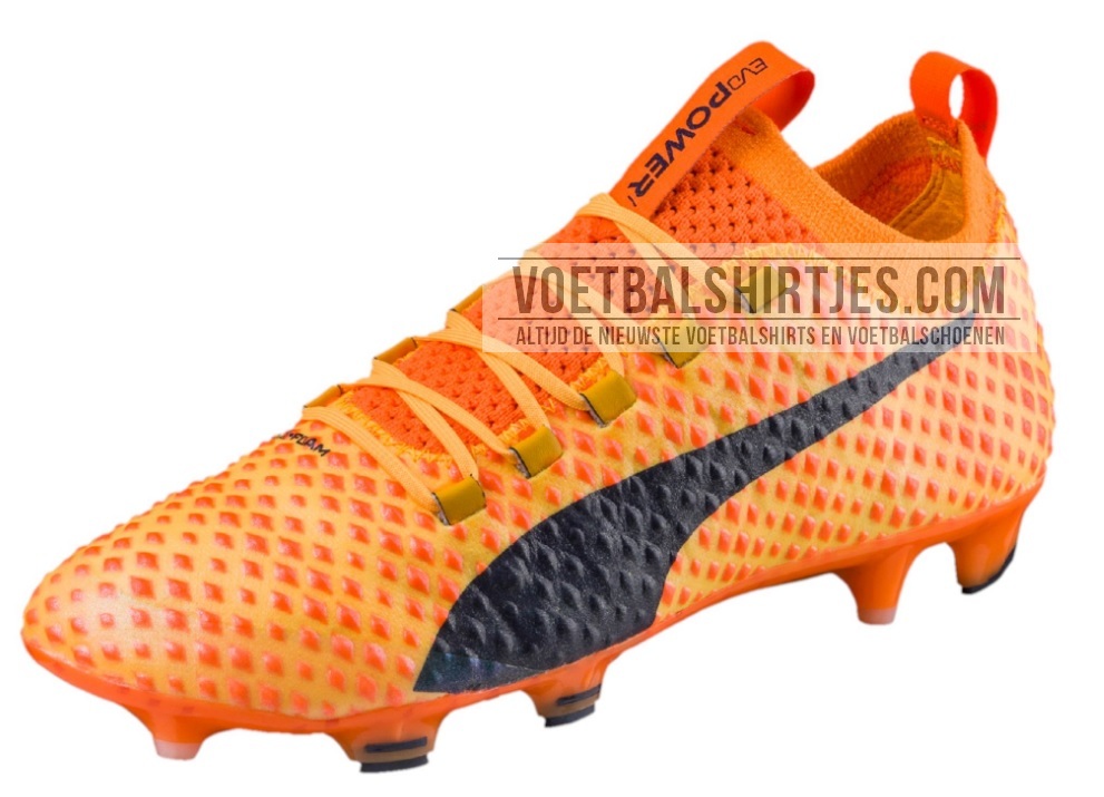 Puma evopower 3D vigor 1