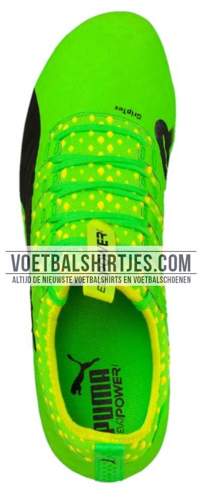 puma_evopower_vigor_1 gecko Green