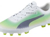 puma evospeed 2017 Ceramic