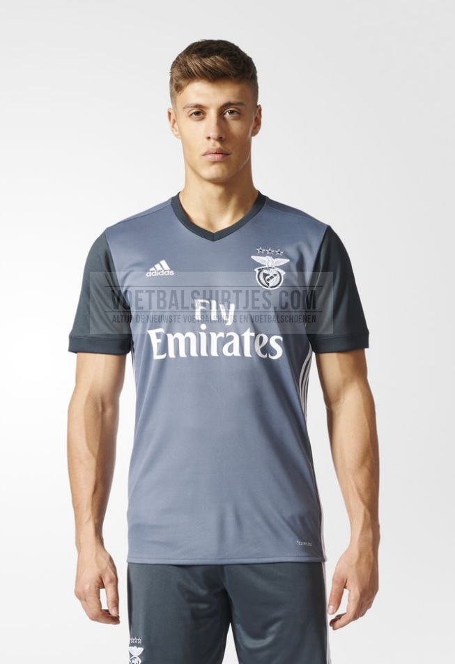 Benfica 17-18 away kit