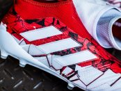 Adidas Ace 17 Purecontrol Confed Cup