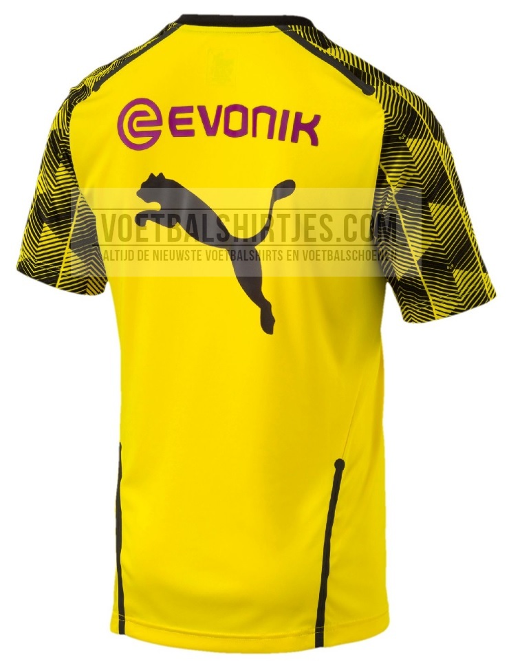 BVB training top 2018