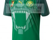Cameroon home jersey 2018