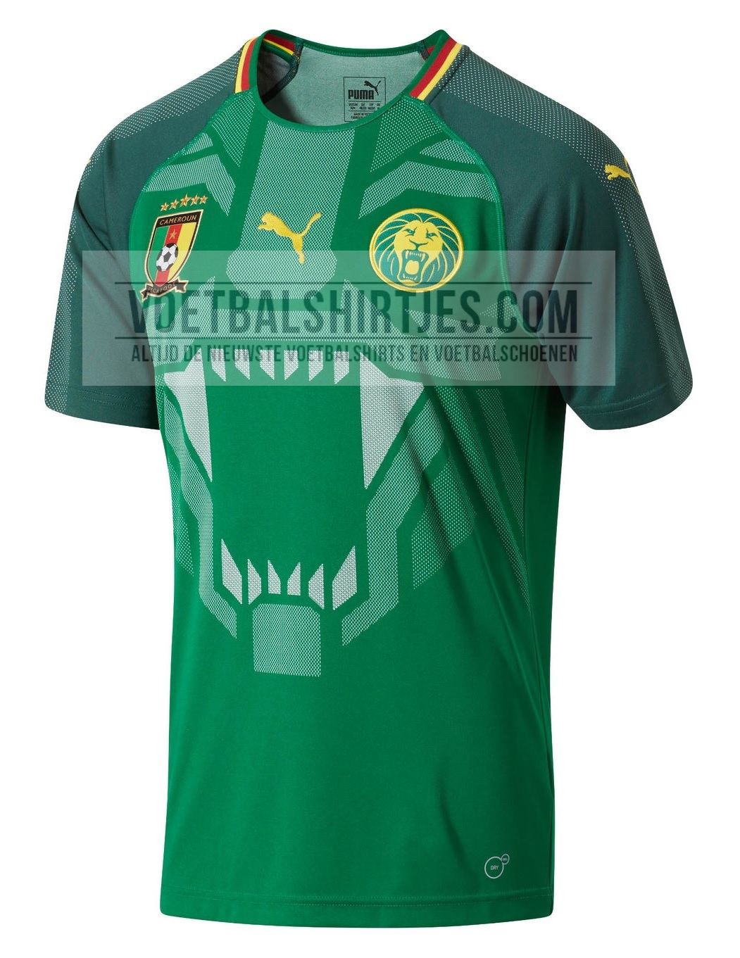 Cameroon home jersey 2018