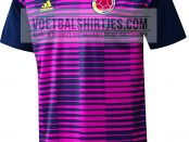 camiseta Colombia 2018 pre match